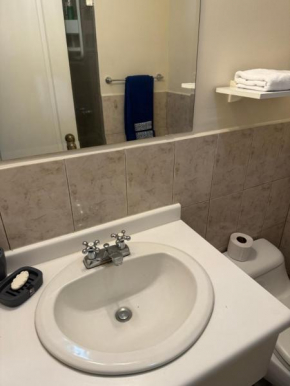 Cozy apartament la carolina